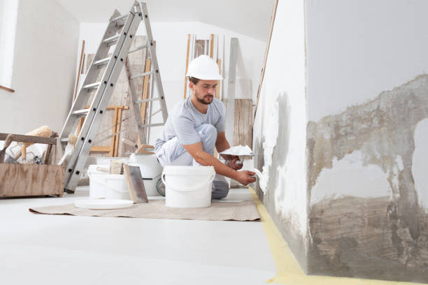 Best Fire-Damaged Drywall Repair  in Cedar Hill, TX